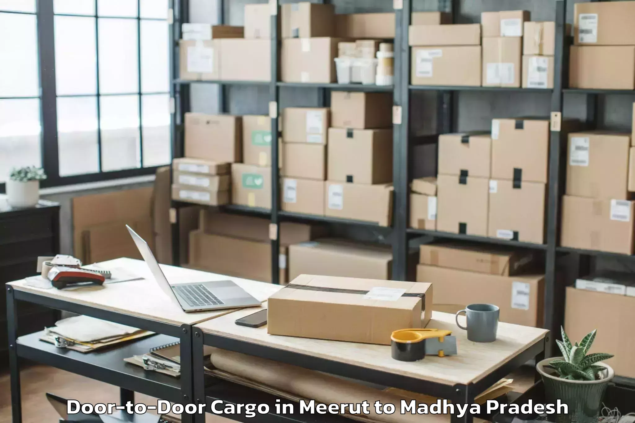 Easy Meerut to Ashoknagar Door To Door Cargo Booking